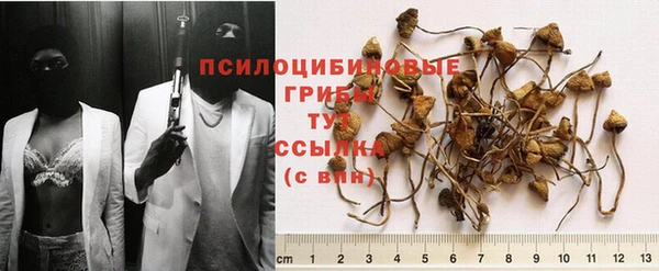 кокаин Лиски